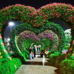 Having a hard time finding beautiful wedding arches for rent? Let us help you out. Check out our favorite rentals & learn how to find more near you!