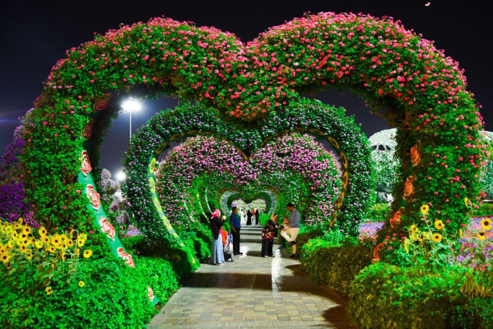 Where to Find Beautiful Wedding Arches for Rent