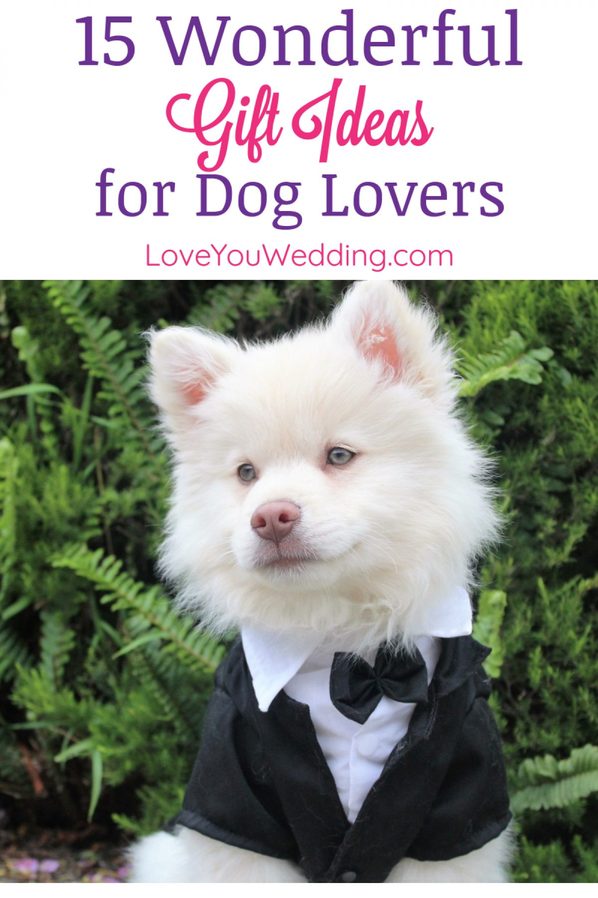 simple gifts for dog lovers