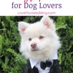 If you're looking for some fantastic wedding gift ideas for dog lovers, I've got you covered! Check out 15 I adore!