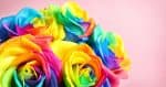 Be it blue and silver, black and red, or rainbow, this article will give you some ideas for your gay and lesbian wedding flowers.