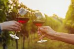 Two friends toasting with wine in a vineyard