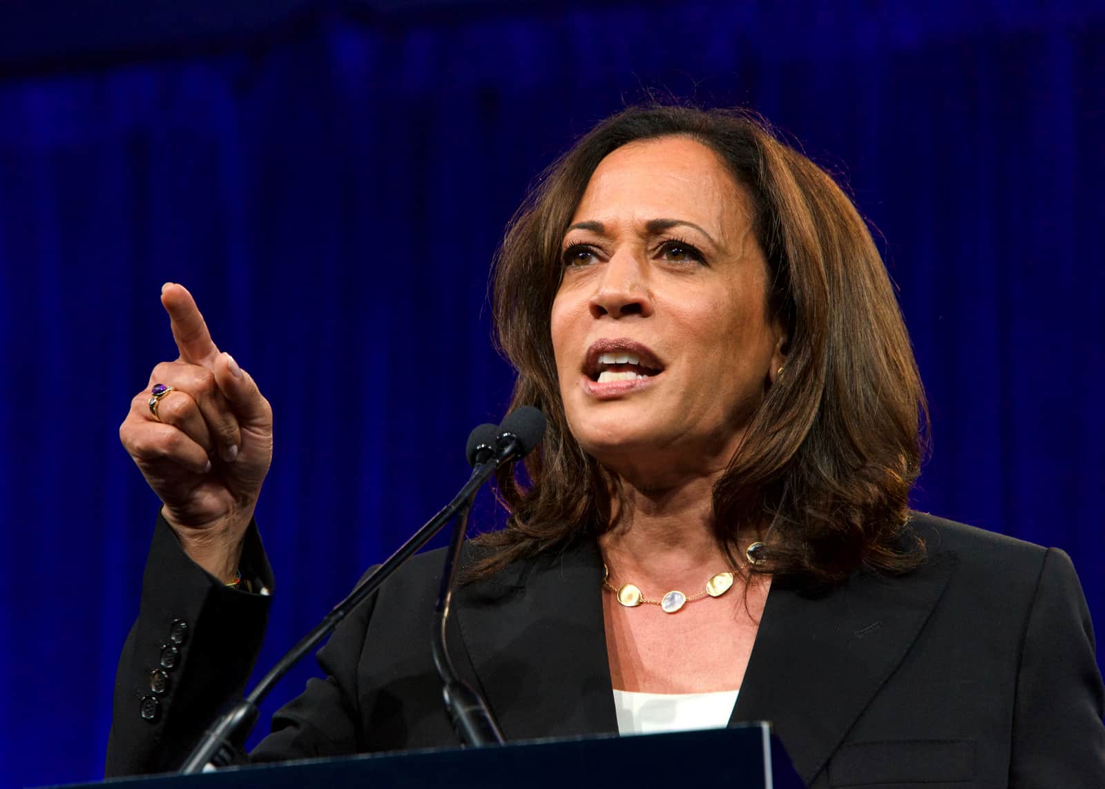 Democratic VP Candidate Kamala Harris Details Her History ...