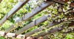 Renting a wedding arbor is expensive, to try to make your own DIY option like this flower-covered arbor