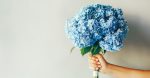 Looking for some amazing anniversary gifts for gay and lesbian couples? Check out these ideas for years 1-9!