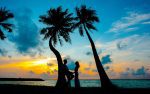 silhouette of newly wed couples under palm trees in a honeymoon destination in australia