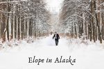 bride in groom doing elope in alaska