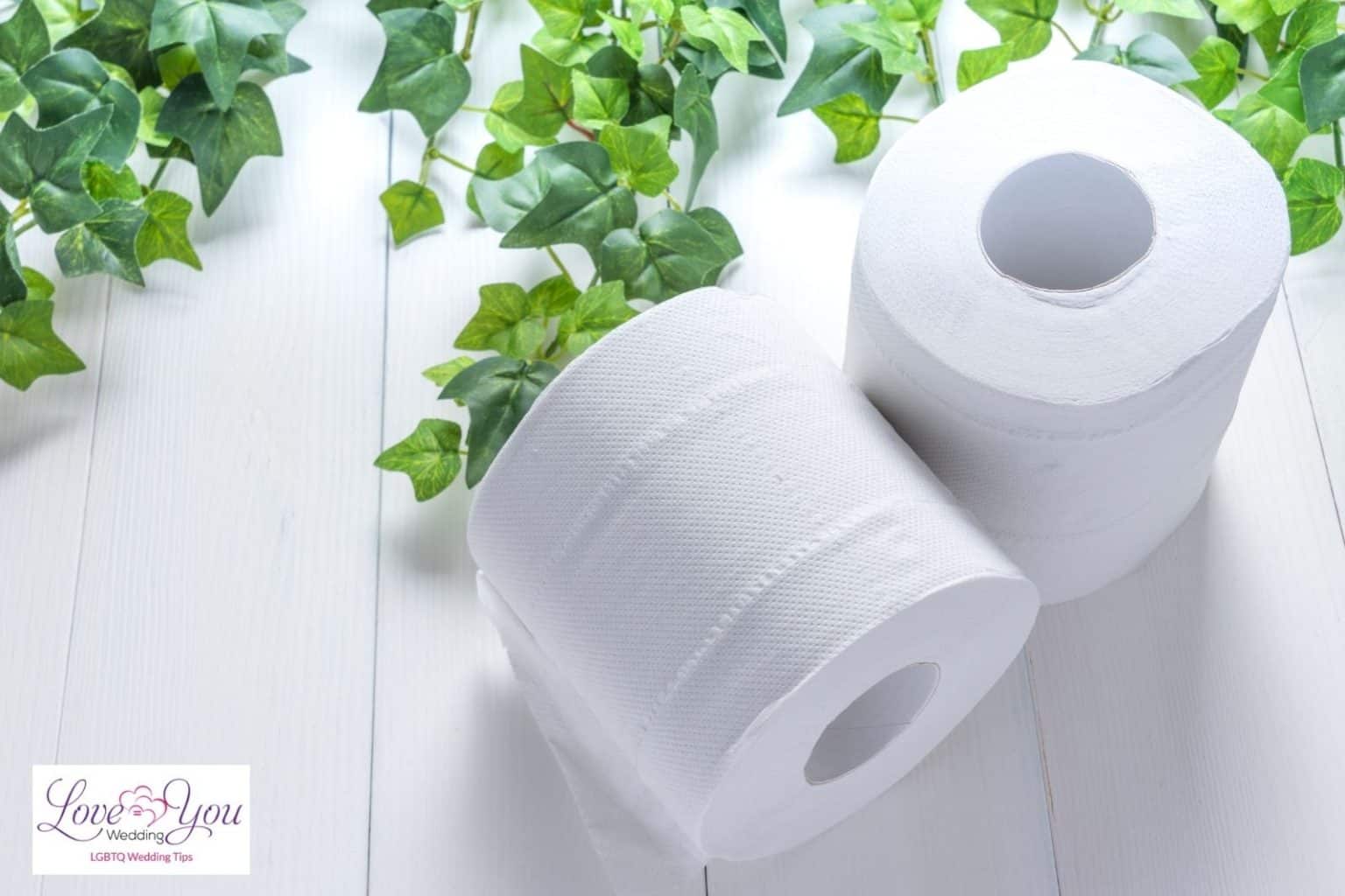 Bridal Shower Toilet Paper Game How To Play & Rules to Follow