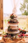 Rustic Wedding Themed Cake