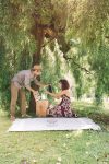 Outdoor Picnic Engagement Party Ideas